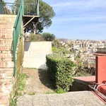 Rent 2 bedroom apartment of 38 m² in Naples