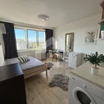 Rent 1 bedroom apartment of 1 m² in České Budějovice