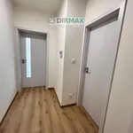 Rent 1 bedroom apartment of 40 m² in Plzeň