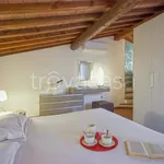 Rent 2 bedroom apartment of 50 m² in Firenze