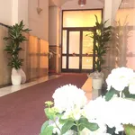 Rent 3 bedroom apartment in Rome