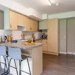 Rent 1 bedroom apartment in Sheffield