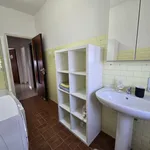 Rent a room of 110 m² in Modena