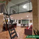 Rent 2 bedroom apartment of 55 m² in Bari