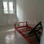 Rent 3 bedroom apartment of 60 m² in Riccione