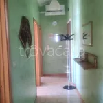 Rent 3 bedroom apartment of 85 m² in Chieti