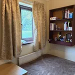 Rent 1 bedroom house in Norwich