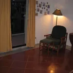 Rent 1 bedroom apartment of 50 m² in Huelva']