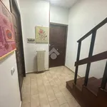 Rent 2 bedroom apartment of 25 m² in Napoli