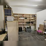  appartement avec 1 chambre(s) en location à Paris