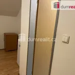 Rent 1 bedroom apartment of 15 m² in Prague