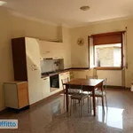 Rent 2 bedroom apartment of 55 m² in Rome