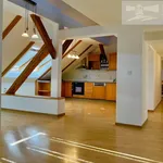 Rent 4 bedroom apartment of 189 m² in Prague