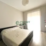 Rent 2 bedroom apartment of 50 m² in Turin