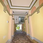 Rent 2 bedroom apartment of 43 m² in Chemnitz