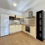 Rent 2 bedroom apartment of 63 m² in Brno