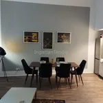 Rent 4 bedroom apartment in Budapest