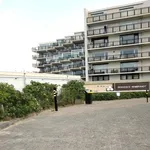 Rent 2 bedroom apartment of 54 m² in De Zuid