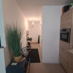 Rent 2 bedroom apartment of 55 m² in Noorderplein