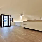 Rent 1 bedroom apartment of 47 m² in Utrecht