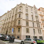 Rent 1 bedroom apartment of 202 m² in Prague