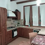 Rent 2 bedroom apartment of 75 m² in bologna