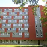 Rent 1 bedroom apartment in Ostrava