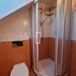 Rent 2 bedroom apartment in Tovéř