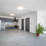 Pronajměte si 1 ložnic/e dům o rozloze 287 m² v Prague