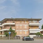 Rent 3 bedroom apartment of 74 m² in Padova