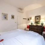 Rent 2 bedroom apartment of 60 m² in bologna