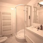 Rent 2 bedroom apartment of 100 m² in Prague