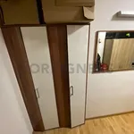 Rent 1 bedroom apartment of 37 m² in Brno