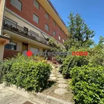 Rent 2 bedroom apartment of 50 m² in Campobasso