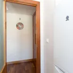 Rent 1 bedroom apartment of 38 m² in madrid