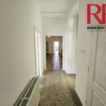 Rent 3 bedroom apartment of 134 m² in Plzeň