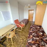 Rent 4 bedroom apartment in Radslavice