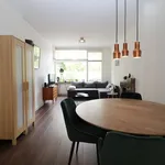 Rent 2 bedroom apartment of 73 m² in Schiedam