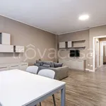 Rent 4 bedroom apartment of 115 m² in Mantova