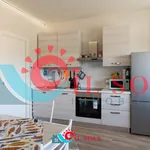 Rent 2 bedroom apartment of 70 m² in pisa