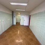 Pronajměte si 2 ložnic/e byt o rozloze 42 m² v Prague