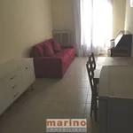 Rent 2 bedroom apartment of 46 m² in Padua