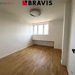 Rent 3 bedroom apartment in Praha