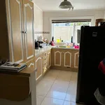 Rent 1 bedroom apartment in Auckland