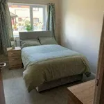 Rent 1 bedroom apartment in Newcastle-under-Lyme