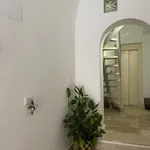 Rent 1 bedroom apartment of 40 m² in Bari