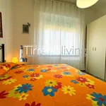 Rent 3 bedroom apartment of 60 m² in Pisa