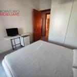 Rent 2 bedroom apartment of 105 m² in Lecce