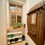 Rent 1 bedroom apartment of 48 m² in Prague