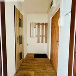 Rent 1 bedroom apartment in Hradec Králové